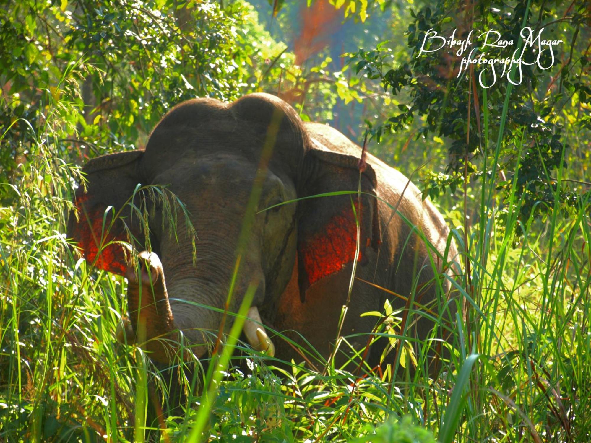 Mr. B'S Place Bardiya ภายนอก รูปภาพ