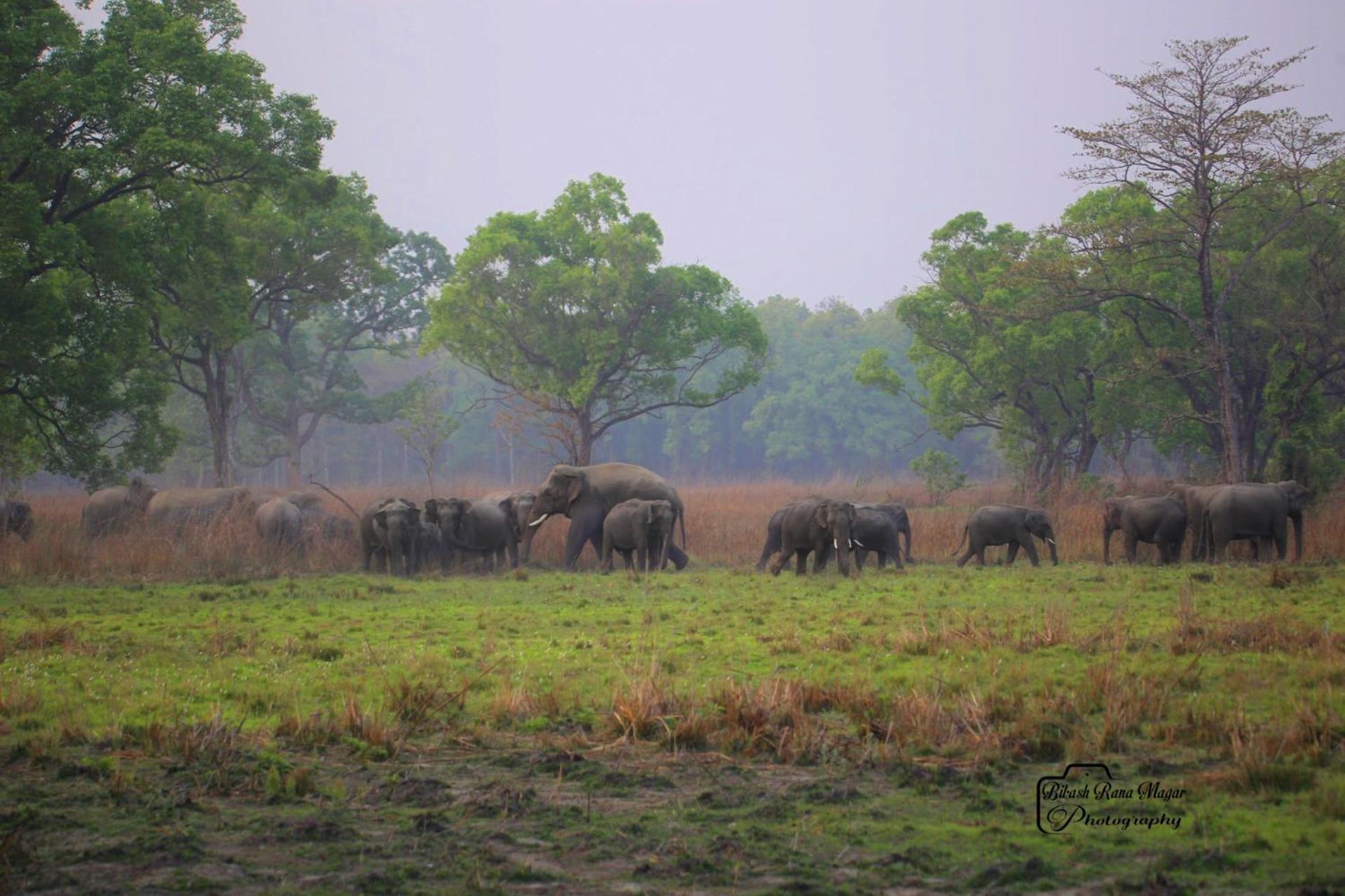 Mr. B'S Place Bardiya ภายนอก รูปภาพ